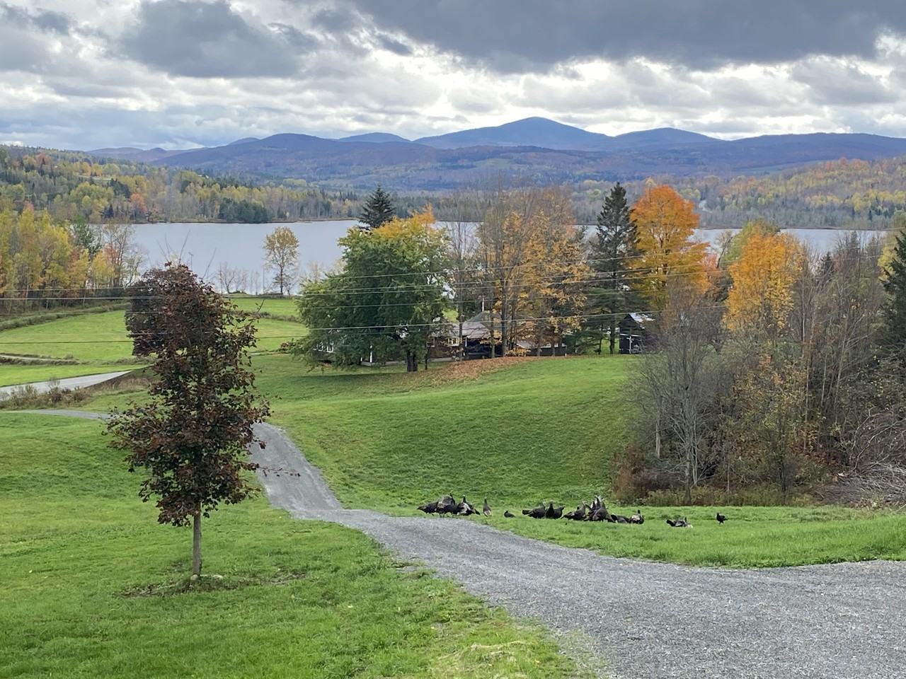 384 Vt Route 5a #NA - Photo 3 of 18