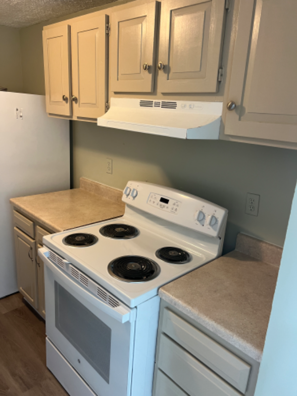 106 Gooseneck Ct - Photo 4 of 20