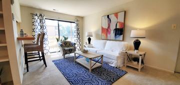 featured image of 299 Snow Cap Ct Apt H