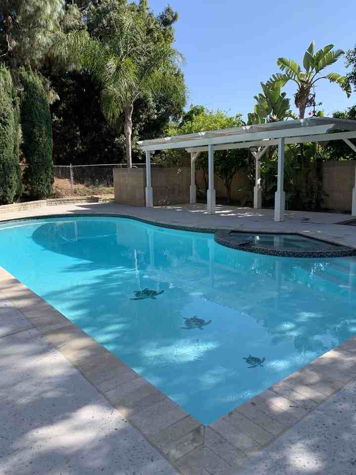 4134 East Church Haven Way - Photo 3 of 12