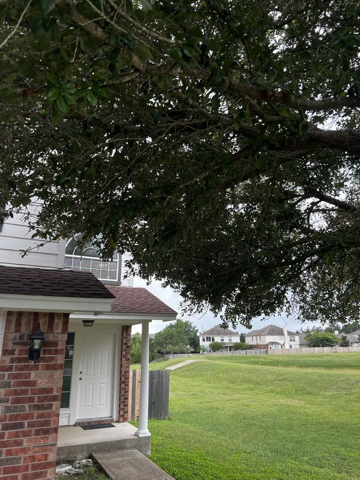 1109 Stone Forest Trl #NA - Photo 2 of 24