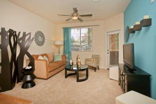 12963 Moreno Beach Dr - Photo 1 of 1