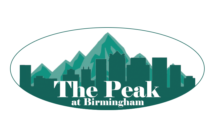 The Peak at Birmingham Apartments 260 Goodwin Crest Drive, Birmingham