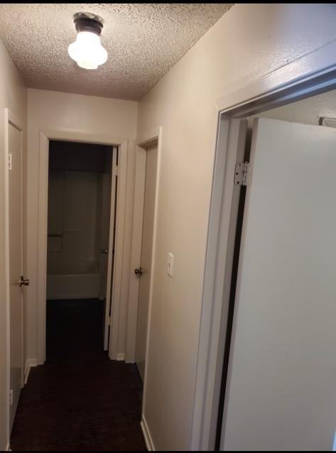 169 Reed St #209 - Photo 4 of 10