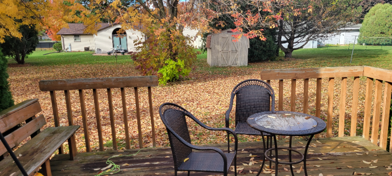 1609 Roosevelt St - Photo 2 of 11