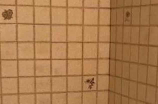 3652 East Presidio Road - Photo 3 of 5