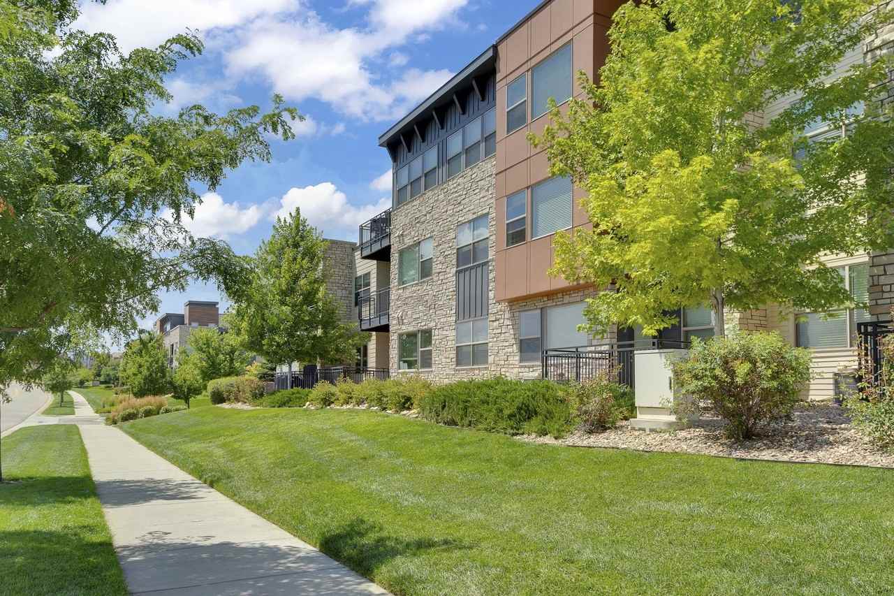 Vela Meridian - Photo 6 of 17