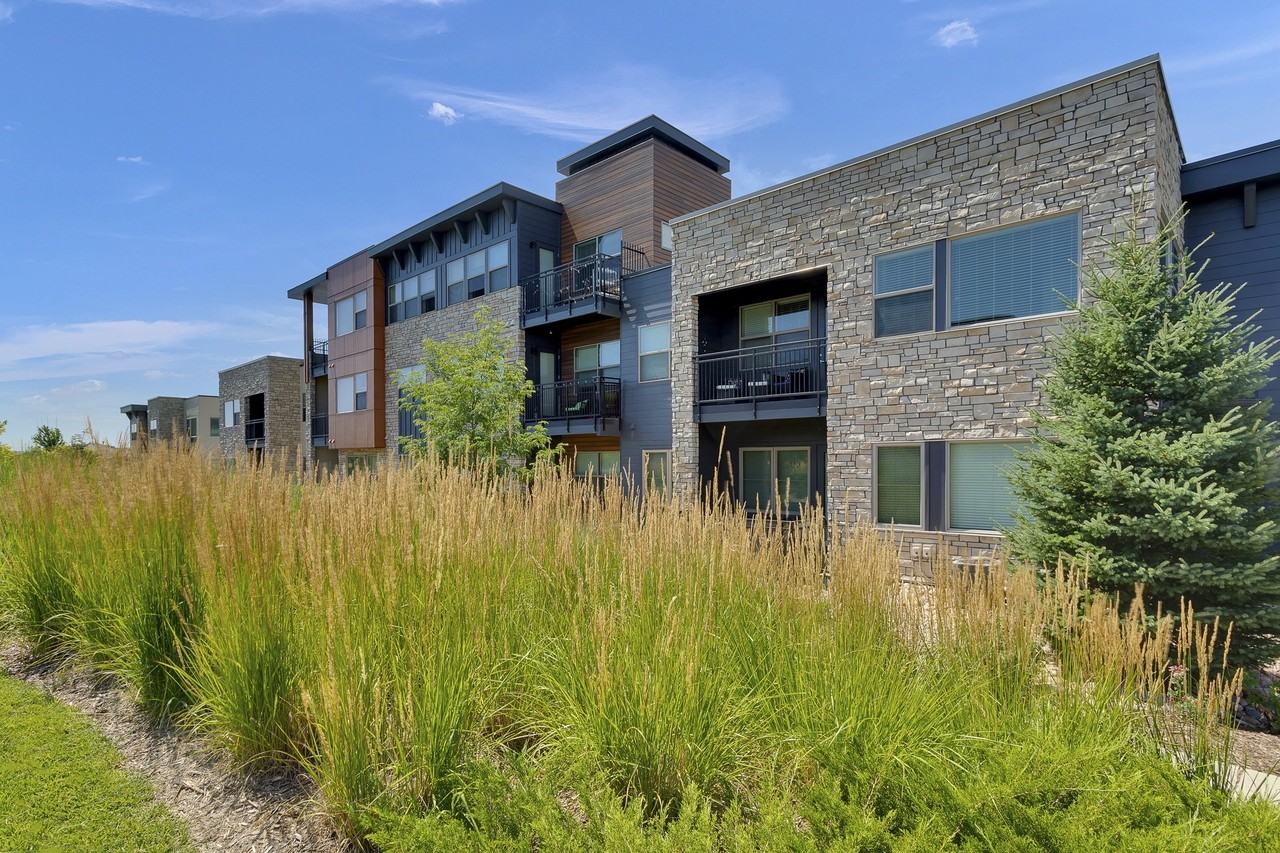 Vela Meridian - Photo 7 of 17