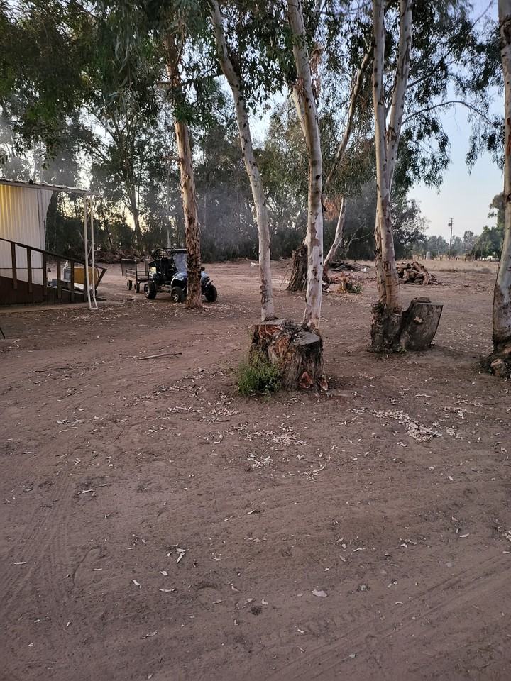 8456 E Olive Ave #NA - Photo 2 of 6