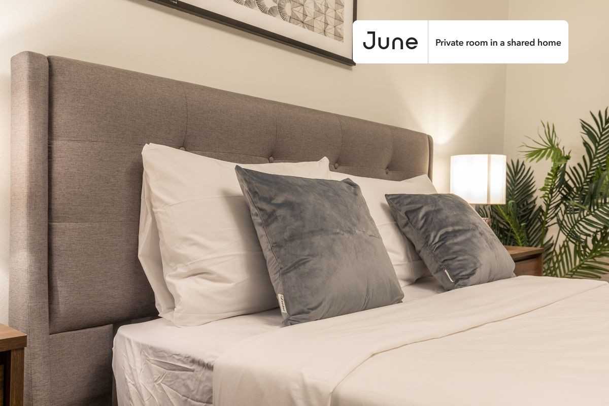 1680 Commonwealth Ave #D - Photo 4 of 15