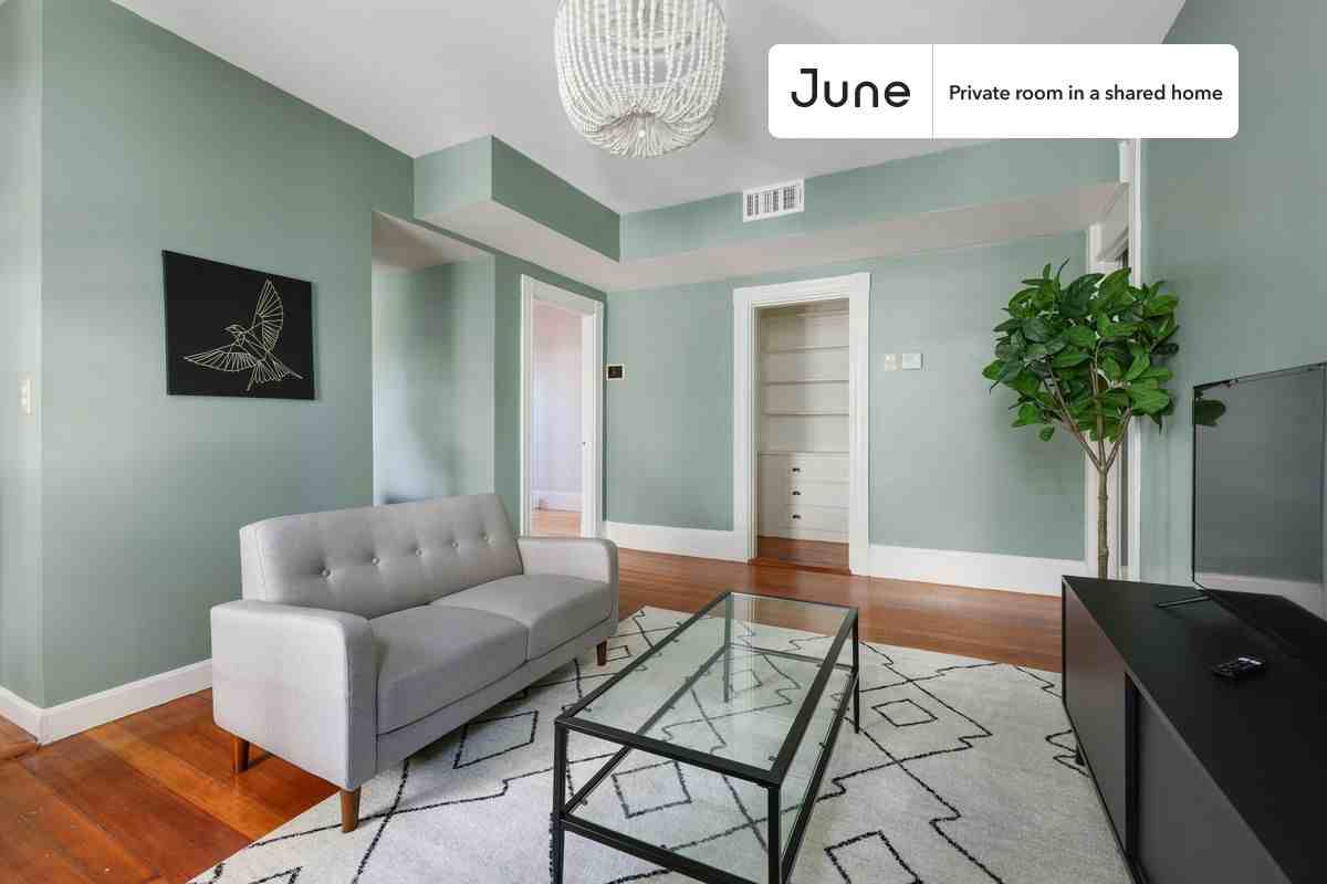 258 Prospect St #C - Photo 7 of 17