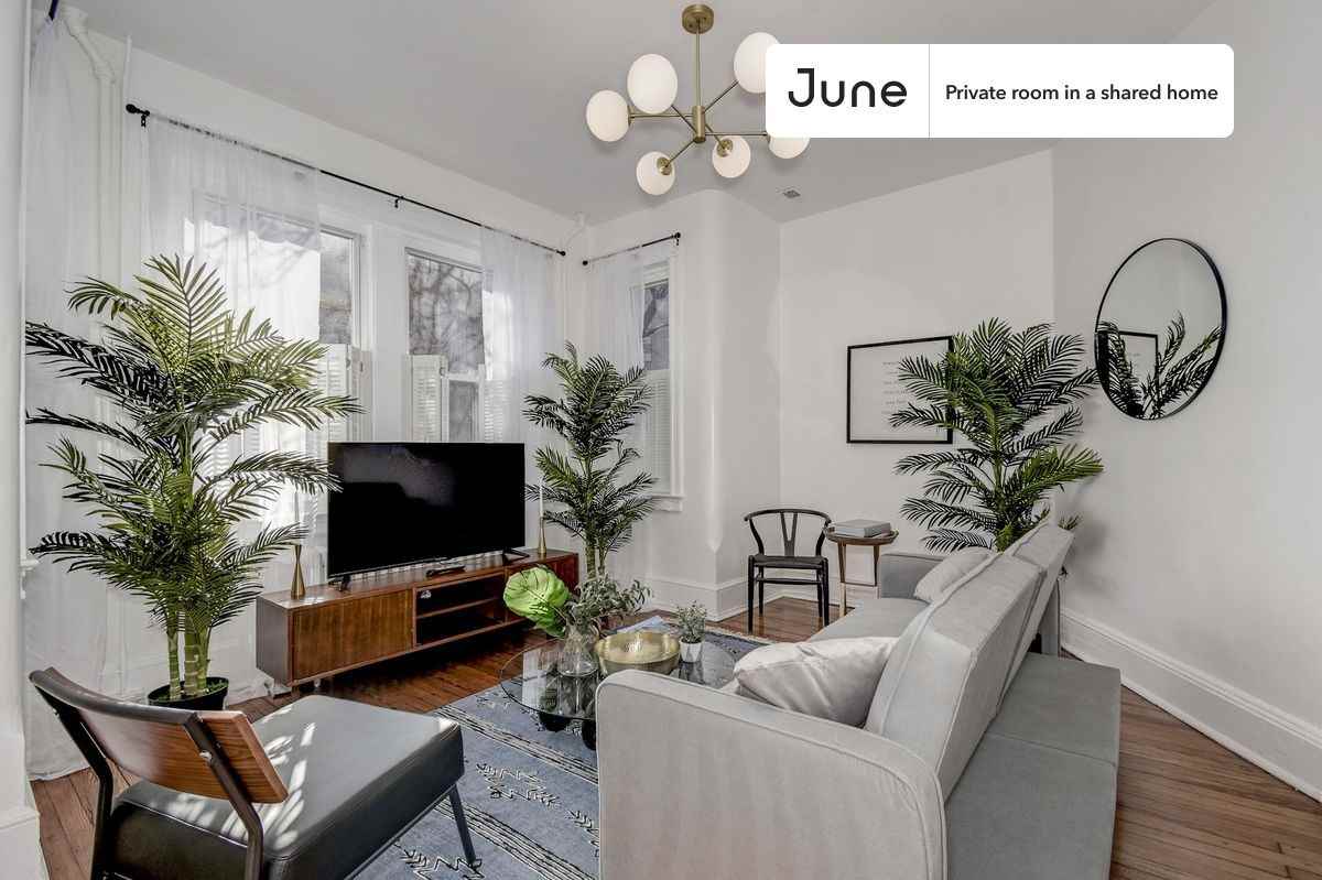 922 I Street Southeast #2B - Photo 5 of 13