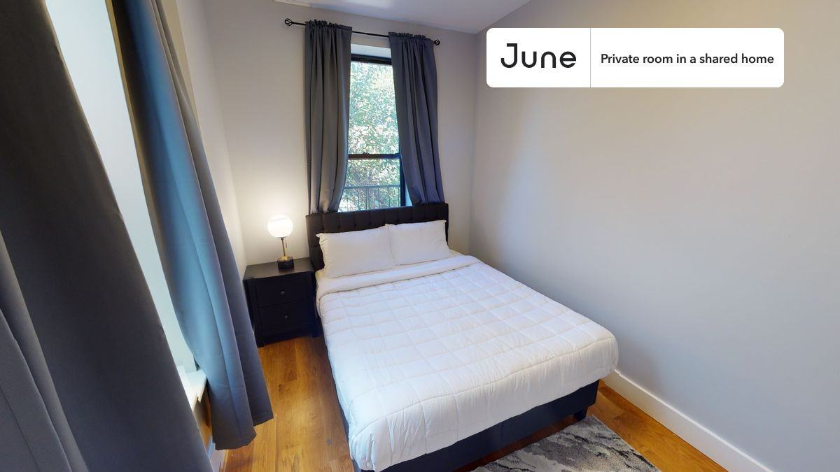 679 Halsey St #B - Photo 2 of 17