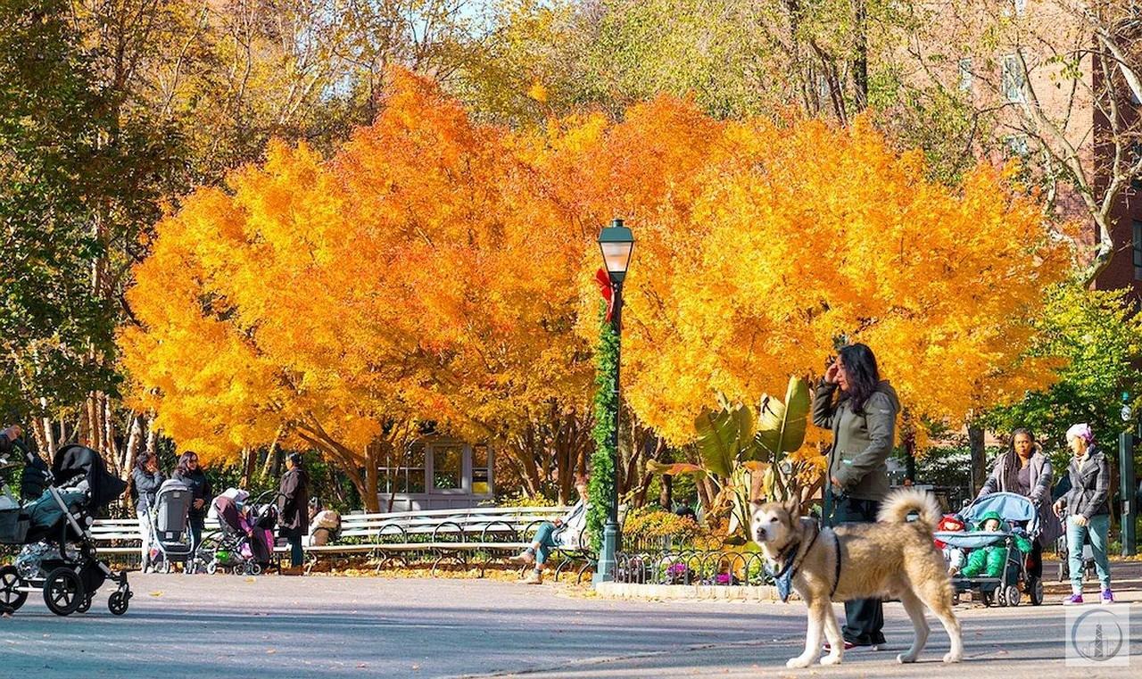 E 20th St #5B - Photo 6 of 18