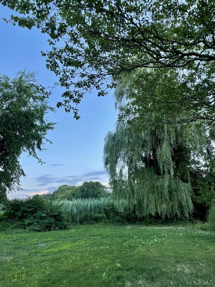 72 Sayles Avenue #1 - Photo 5 of 12