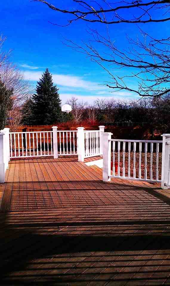 2464 Cana Ct - Photo 7 of 14