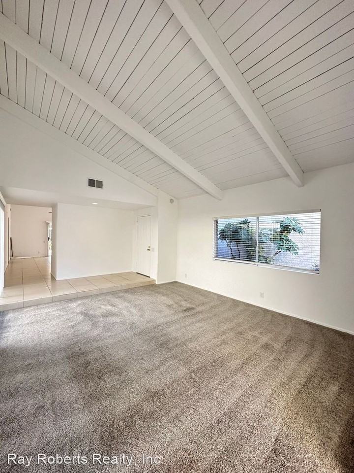 20 Sanderling - Photo 2 of 21