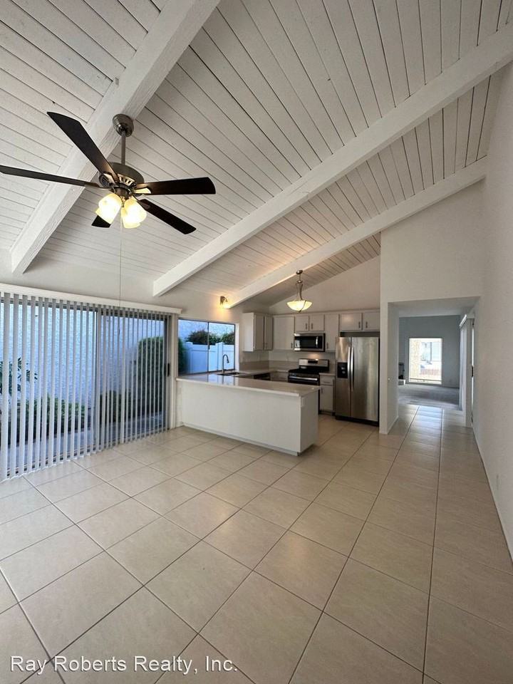 20 Sanderling - Photo 3 of 21