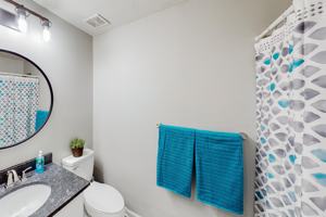 featured image of Timor Trail