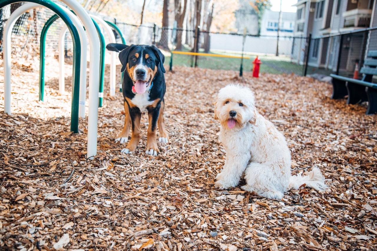 Appleton Square Methuen - Photo 3 of 23