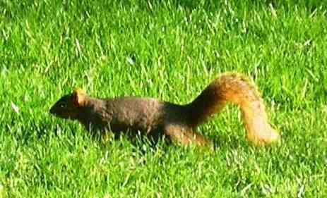 Riverside Town Homes - Photo 6 of 11