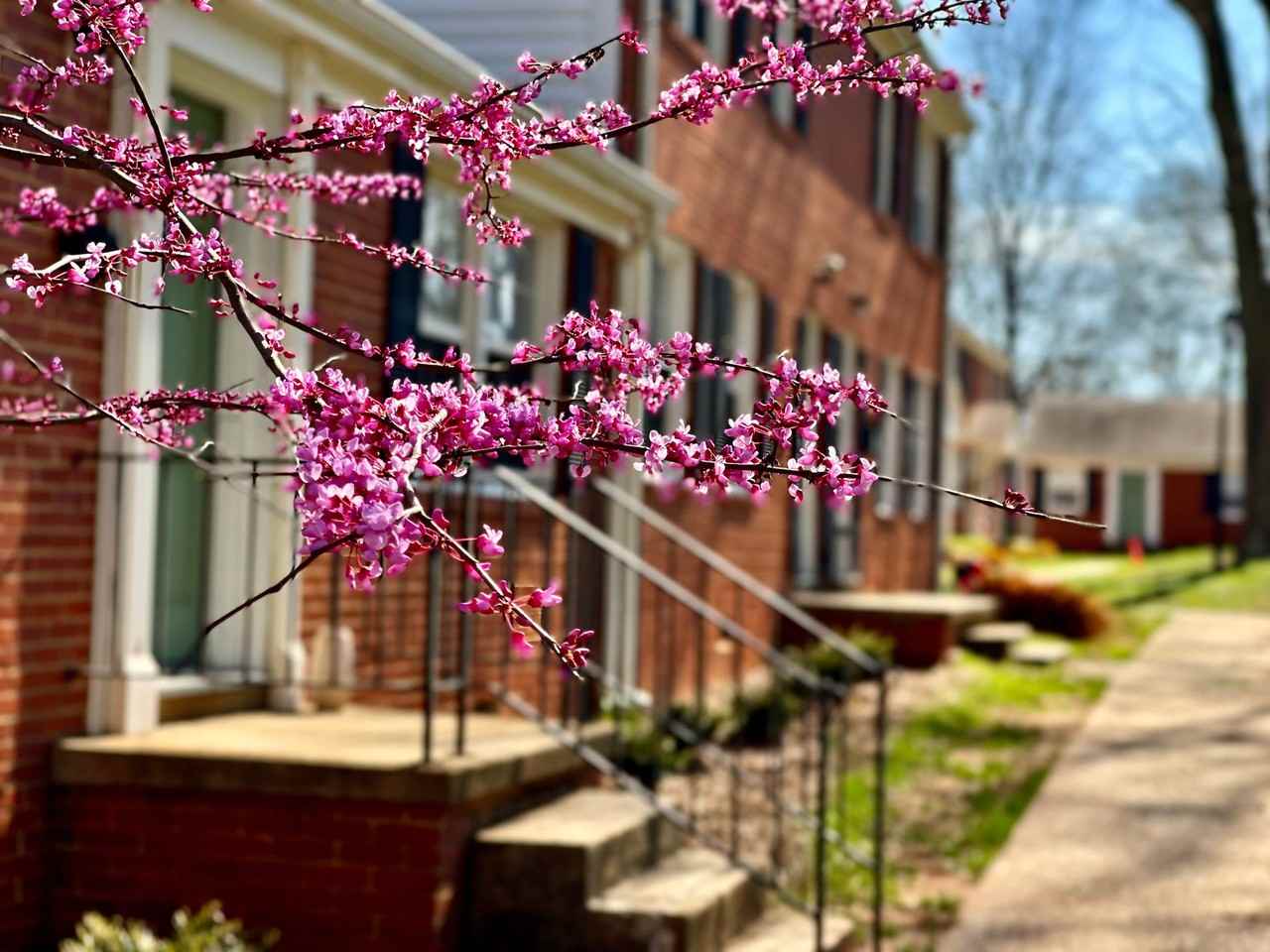 Latham Park Manor - Photo 2 of 31