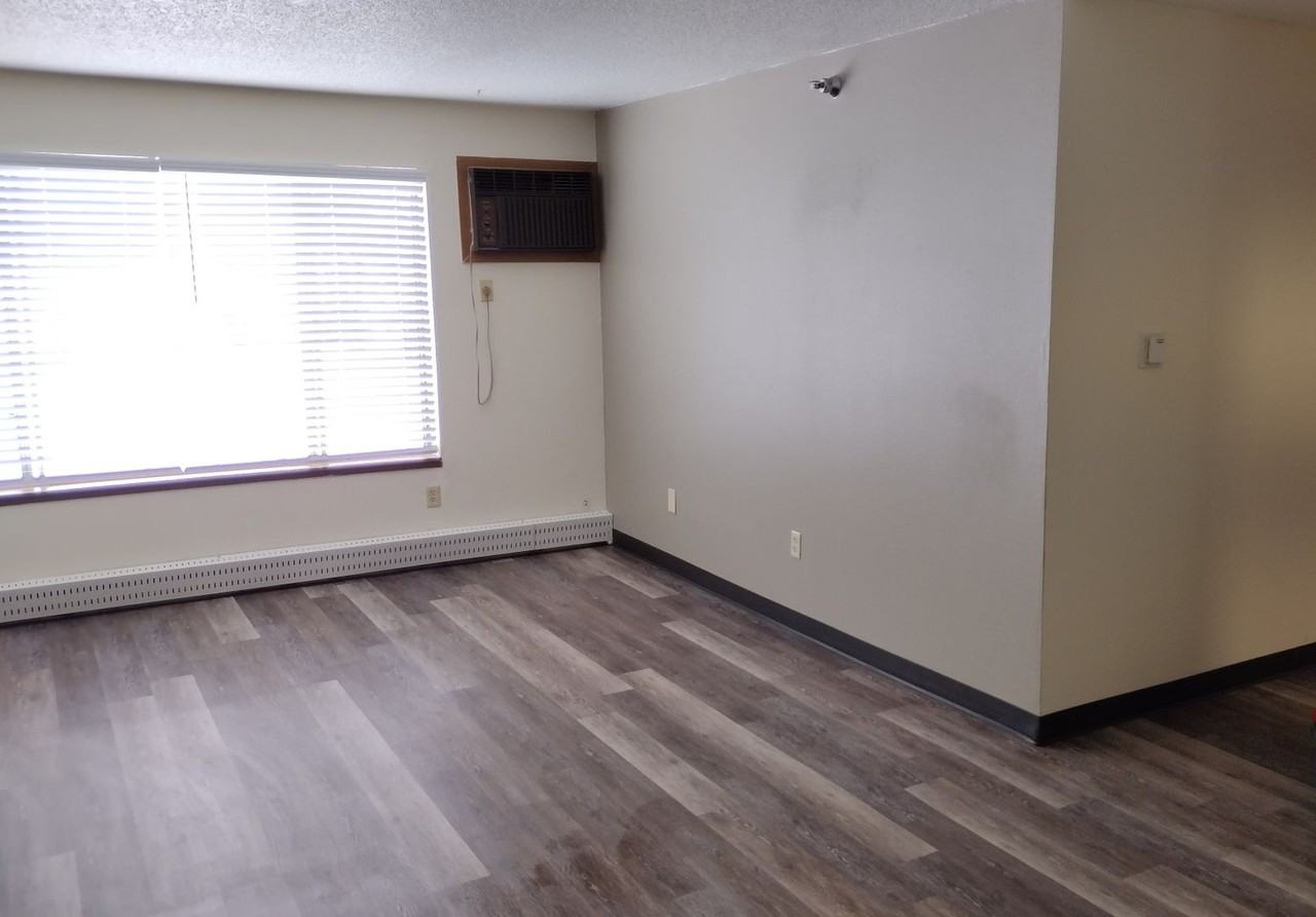 118 Waterloo Street, - Photo 4 of 21