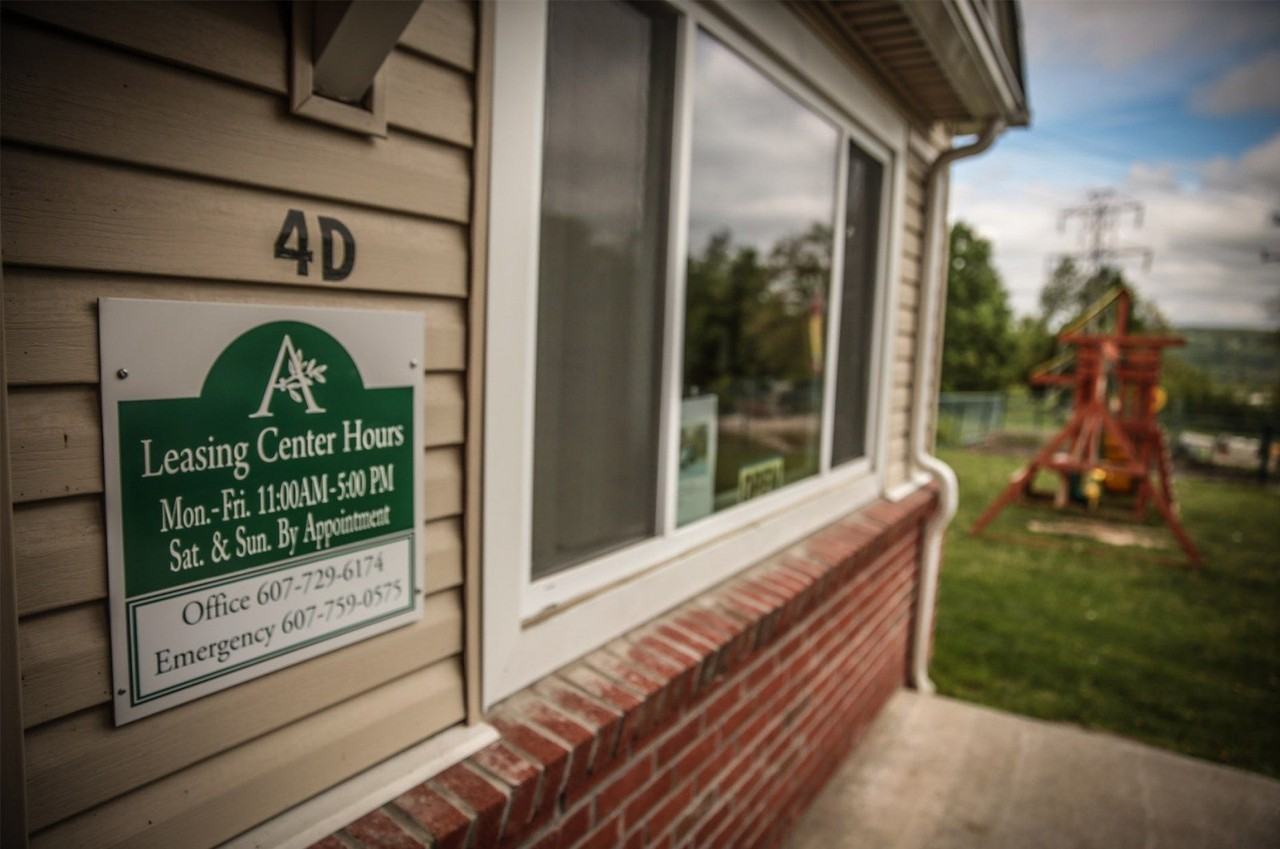 Anthos at Vestal - Photo 3 of 27