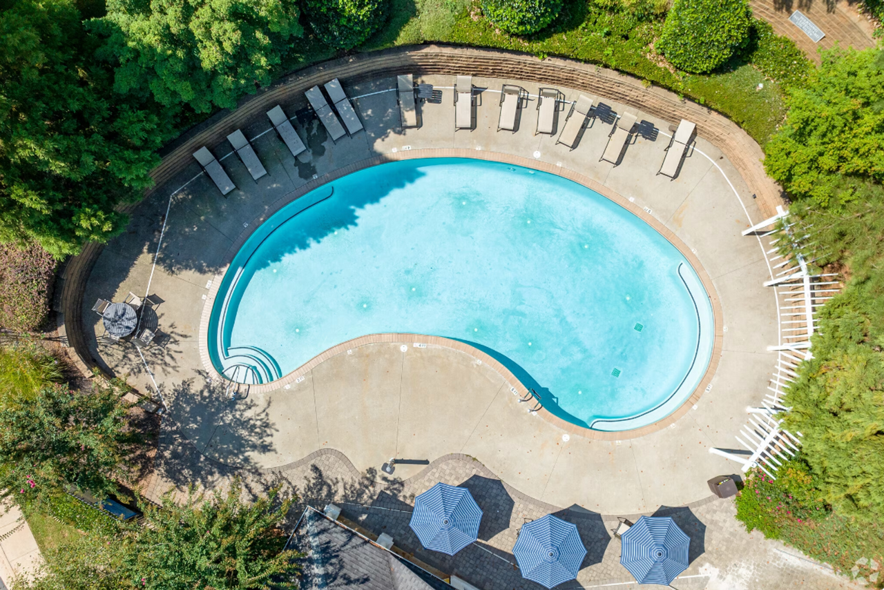 Dwell at the View - Photo 7 of 49