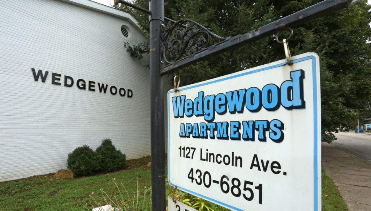 Wedgewood - Photo 6 of 41