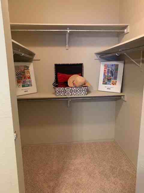 251 N Roadrunner Pkwy - Photo 6 of 33