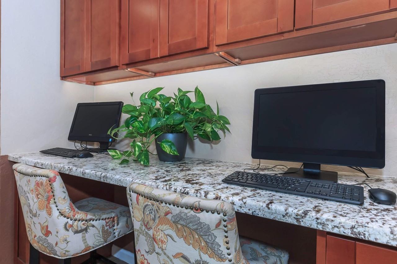 Paradise Foothills Apartment Homes - Photo 4 of 50