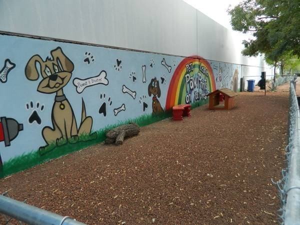 Shadowtree Apartment Homes - Photo 2 of 42