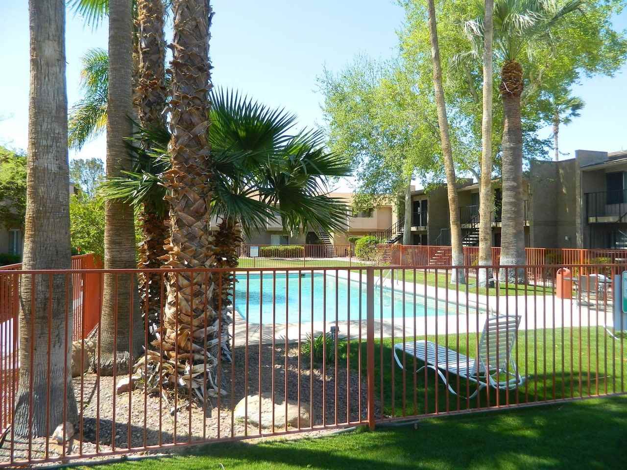 Shadowtree Apartment Homes - Photo 5 of 42