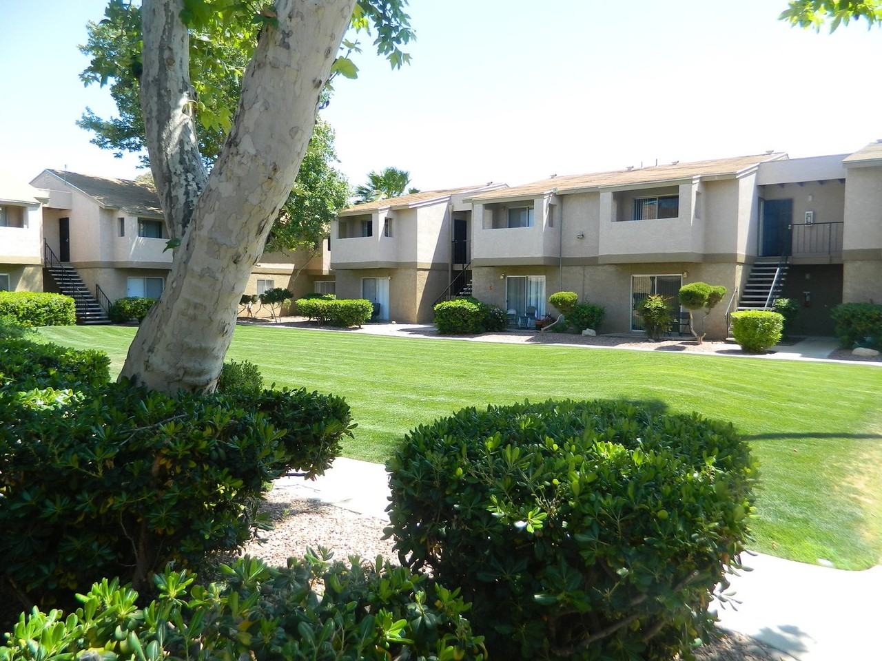 Shadowtree Apartment Homes - Photo 6 of 42