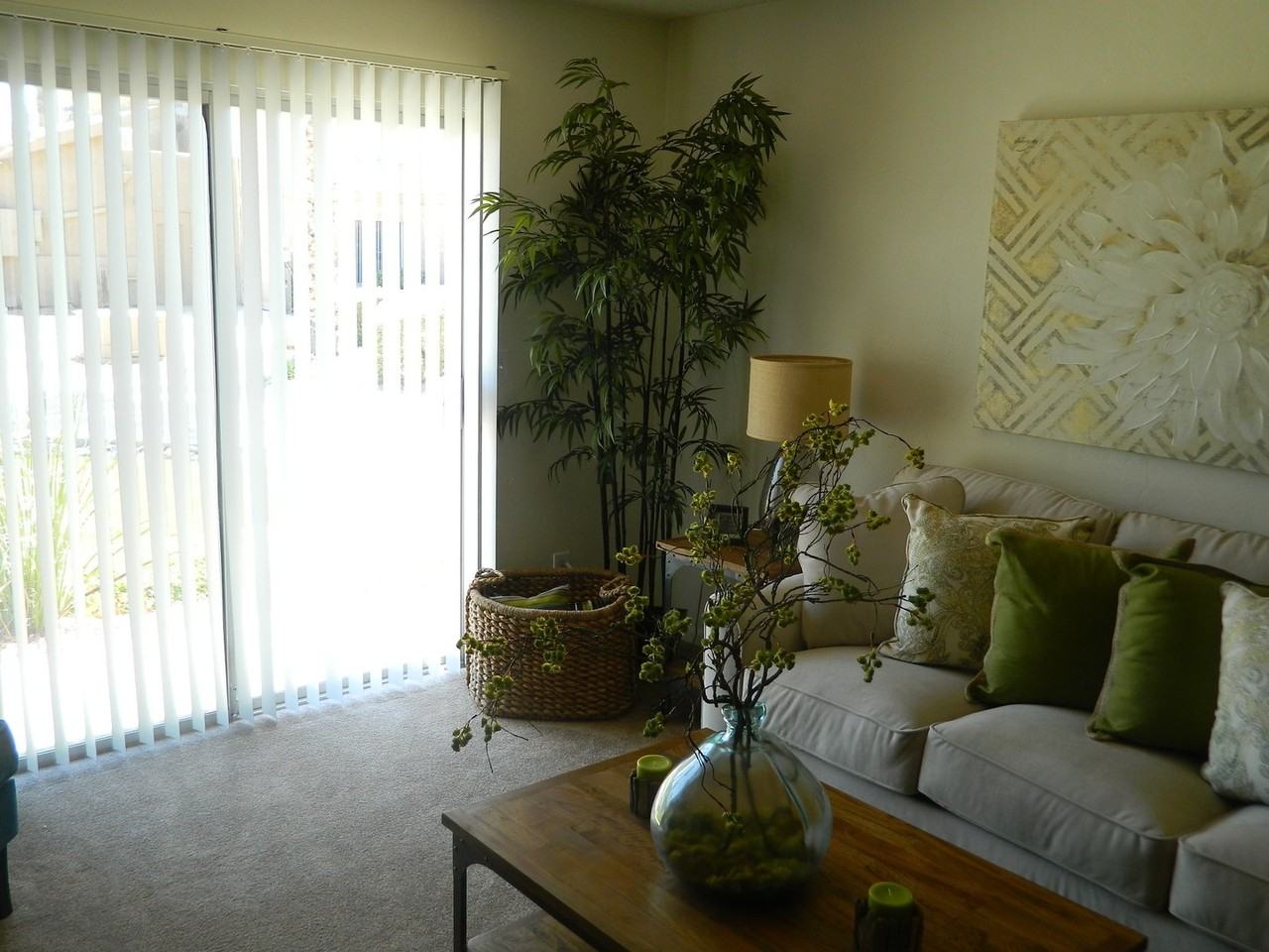 Shadowtree Apartment Homes - Photo 7 of 42