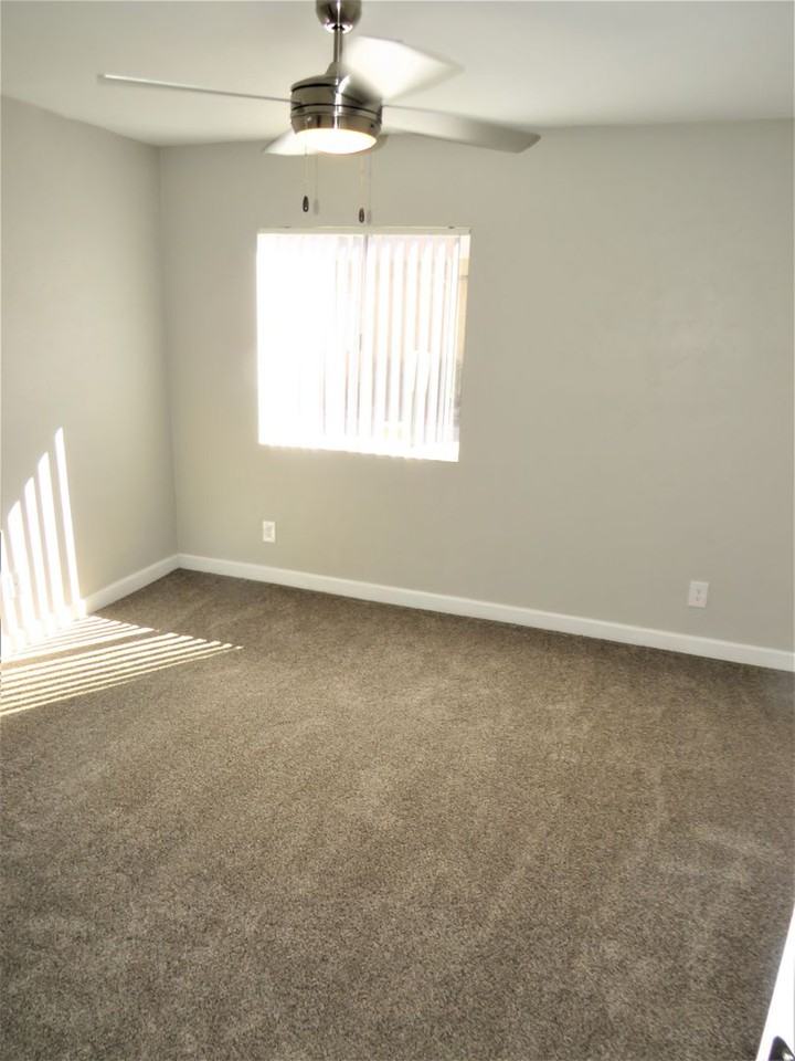 Shadowtree Apartment Homes - Photo 6 of 50
