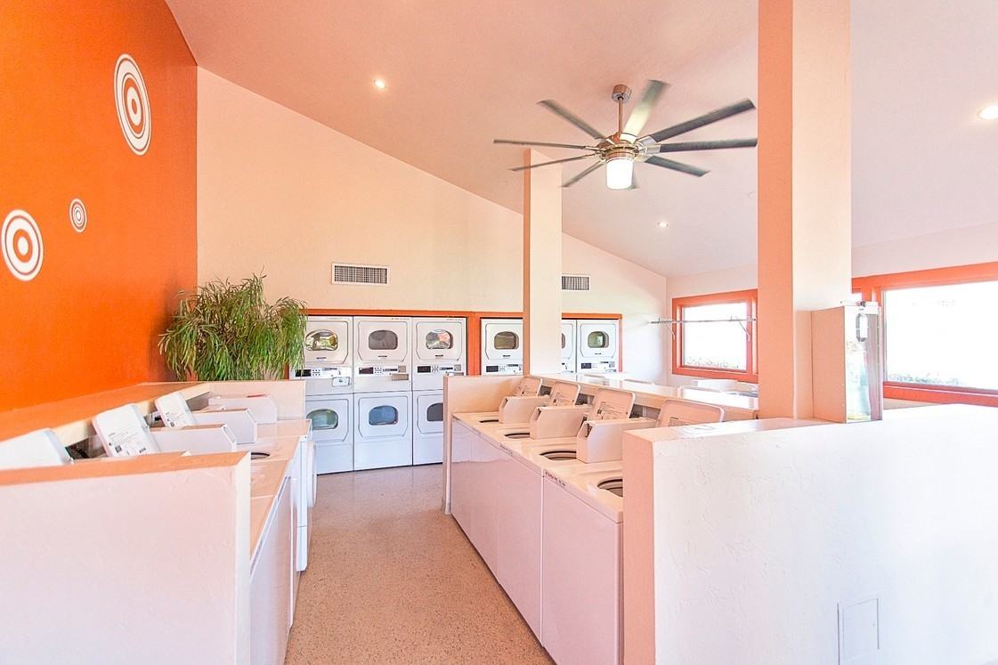 Shadowtree Apartment Homes - Photo 2 of 50