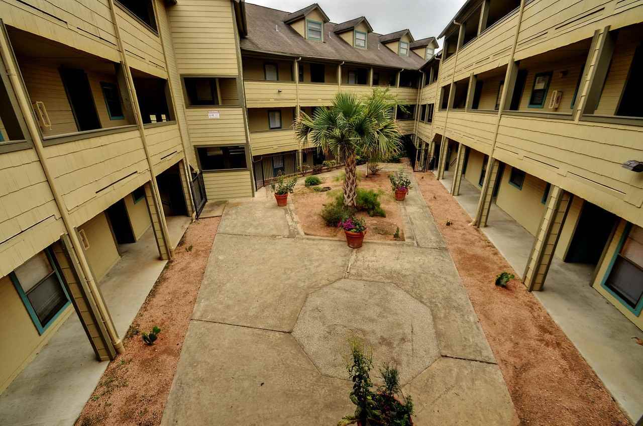 Burl North - Photo 6 of 34