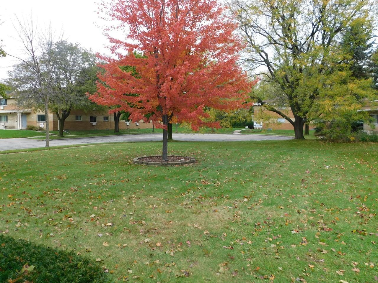 2910 Bolivar Apts - Photo 2 of 24