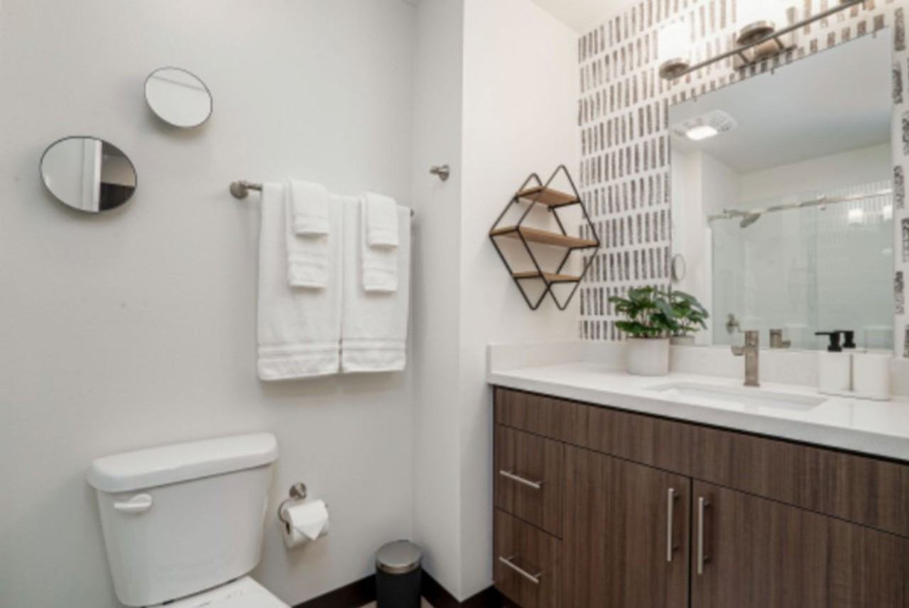 STARLING PLACE APARTMENTS: BRAND NEW STUDIOS & 1 BEDROOMS - Photo 4 of 50