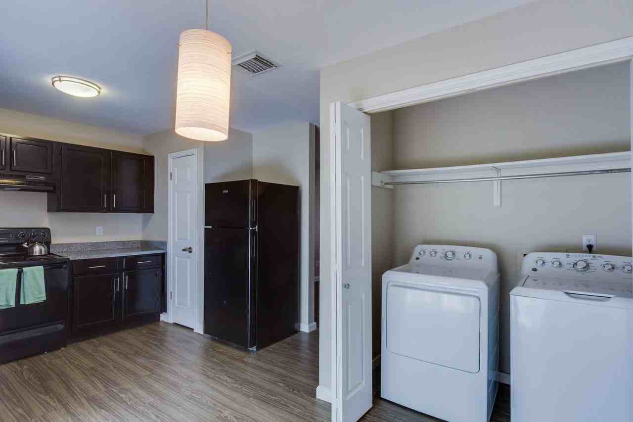 The Curve - Photo 5 of 50