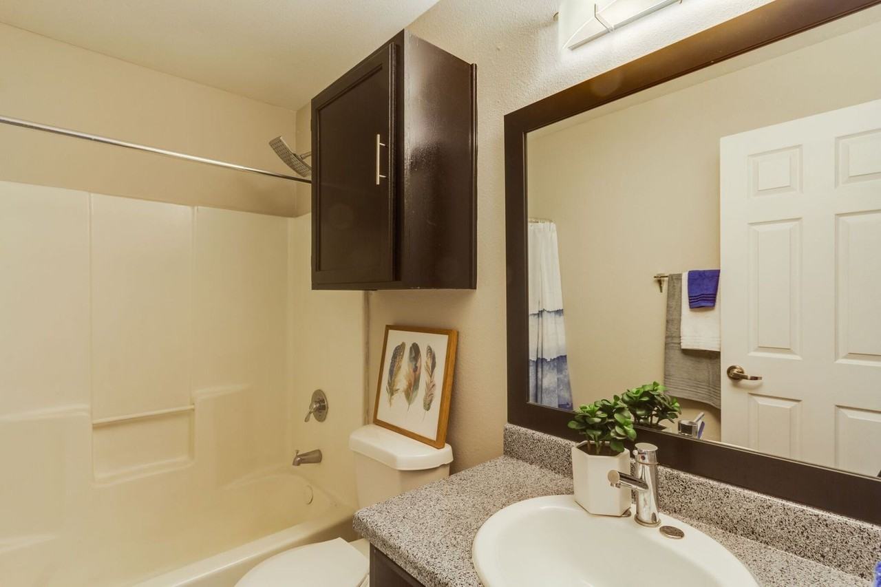 The Curve - Photo 6 of 50