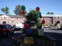 One bedroom  ready to move in! - Photo 1 of 1