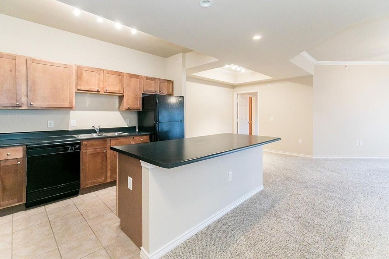 Laguna Vista - Photo 4 of 50