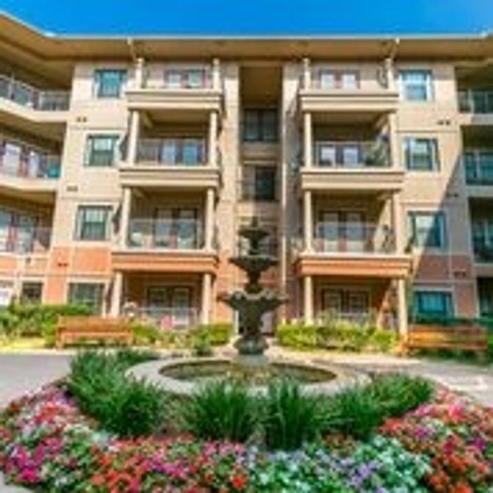 Laguna Vista - Photo 2 of 50