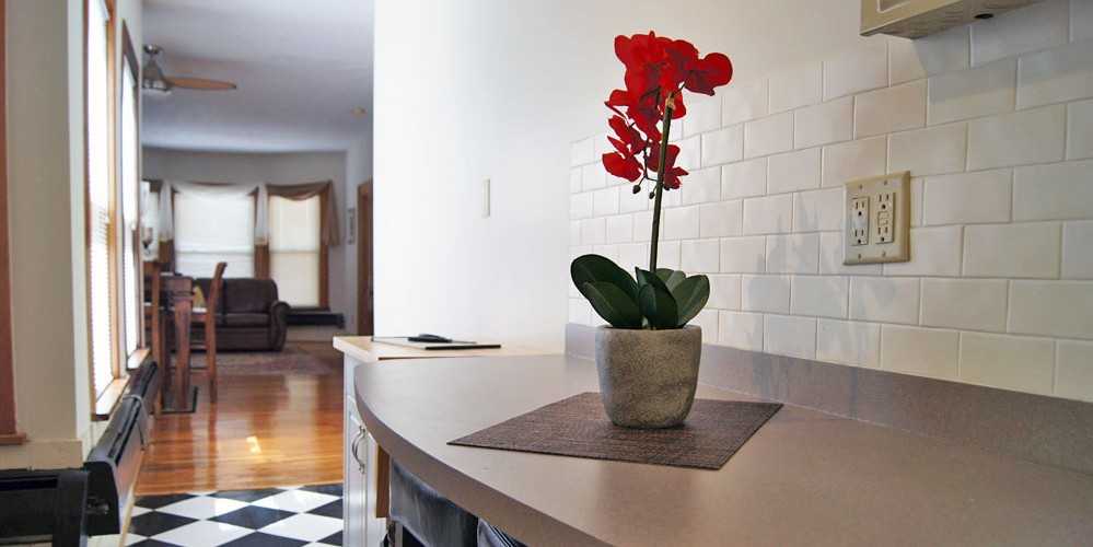 The Elmwood Village Apartments - Photo 6 of 19