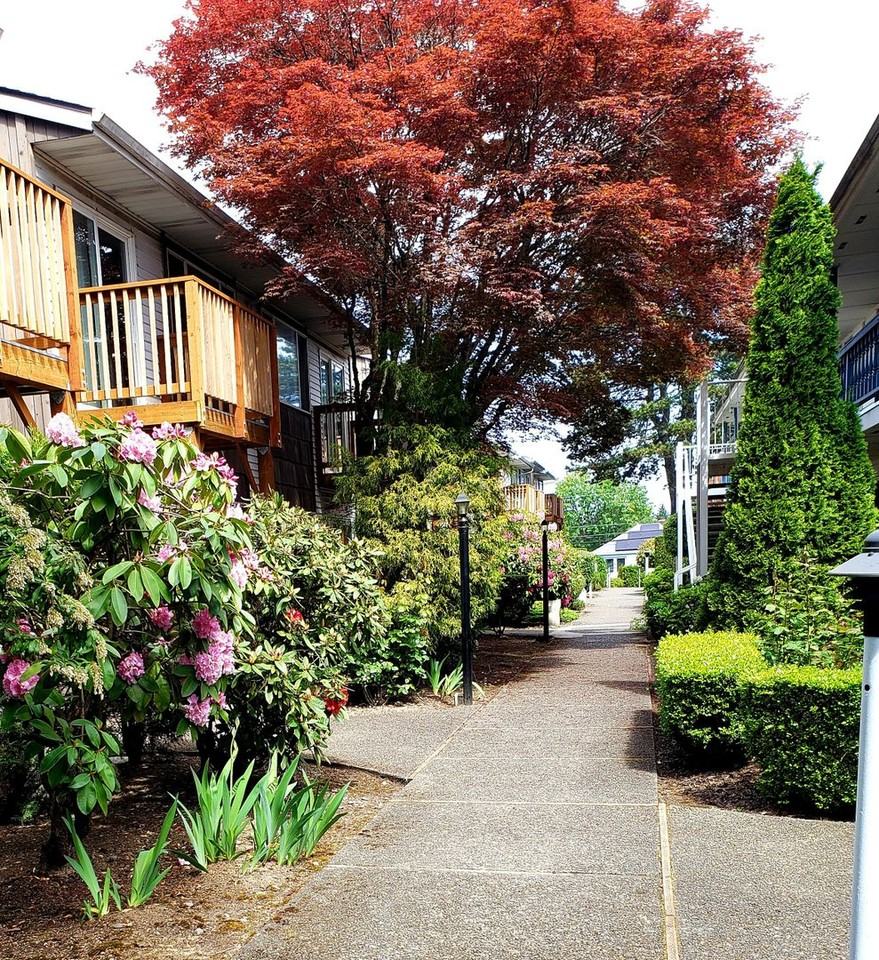 Beautifully Landscaped 1 and 2 bedroom apartments - Photo 3 of 21