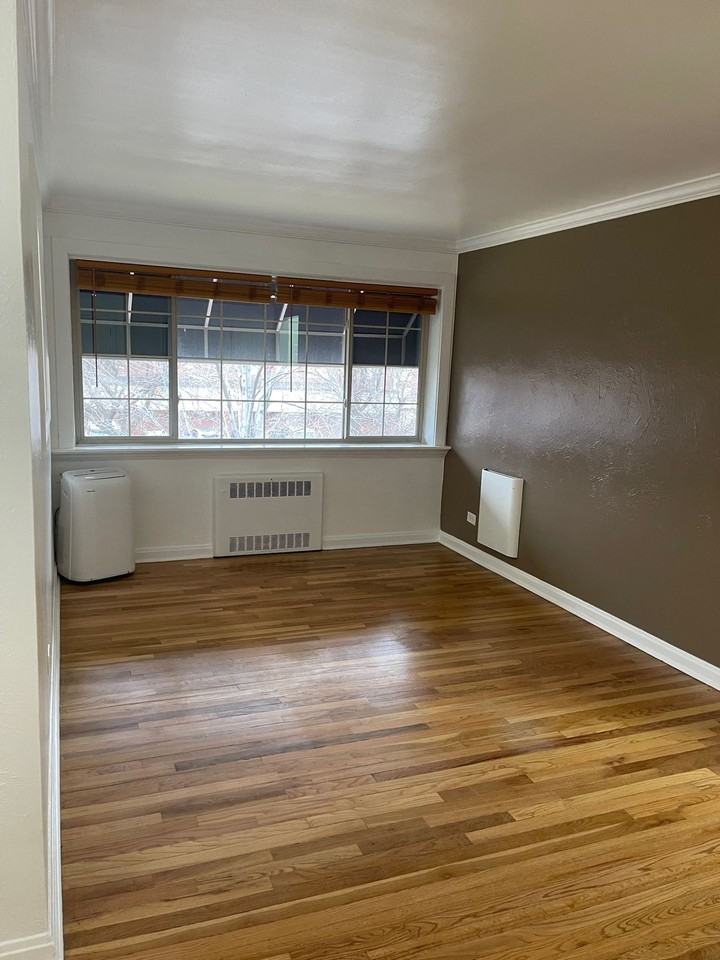 Albion Apartments - Photo 6 of 14