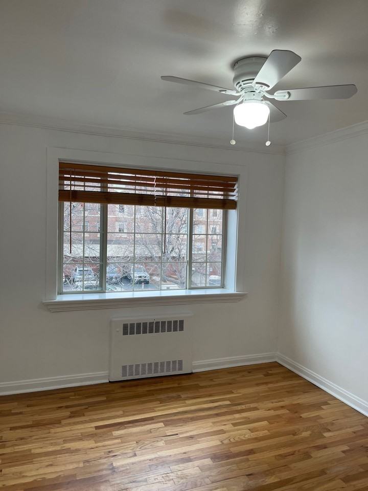 Albion Apartments - Photo 7 of 14